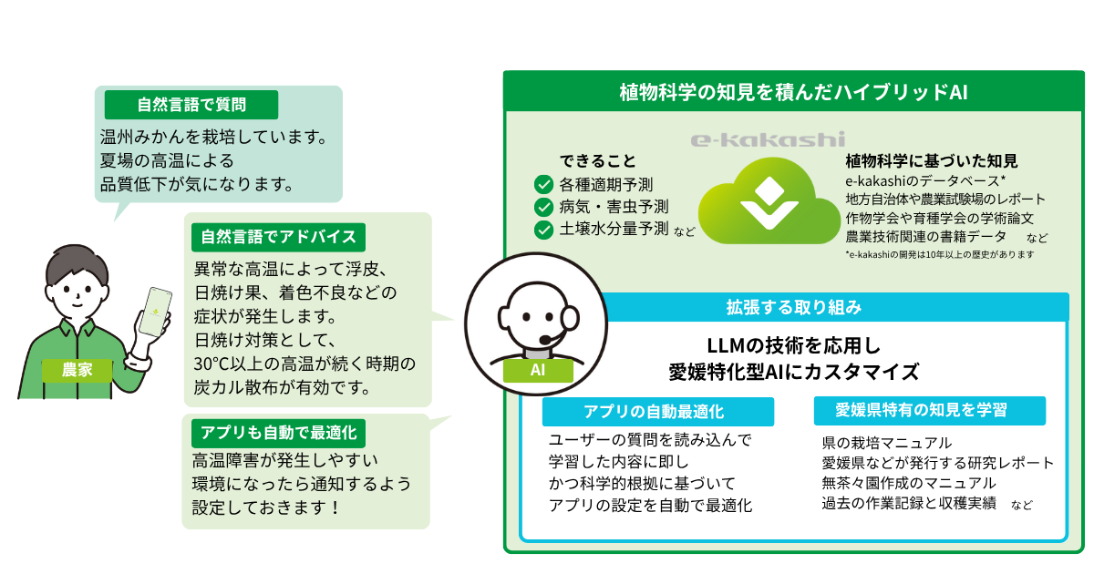 LLM×地域特化AI、愛媛から始まるスマート農業の新モデル