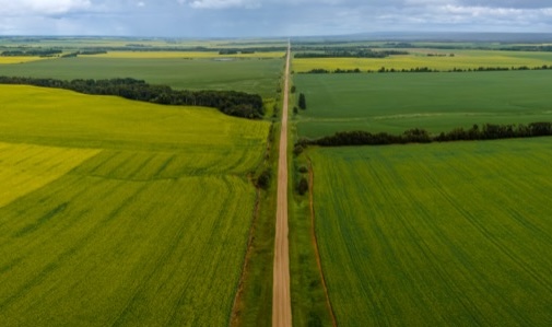 月刊「アグリバイオ」への寄稿について