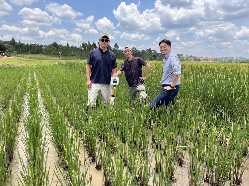 令和7年度地球規模課題対応国際科学技術協力プログラム(SATREPS)に採択決定